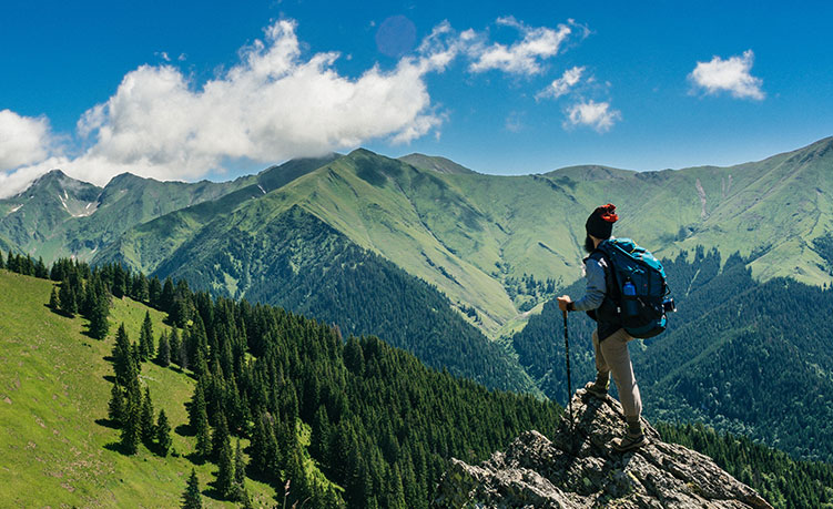 新澳六开彩天天开好彩大全