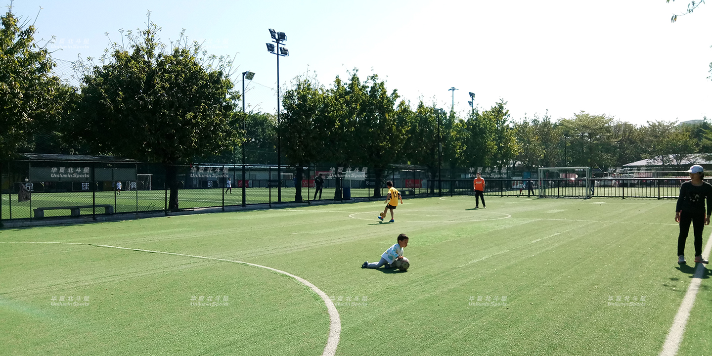 新澳六开彩天天开好彩大全