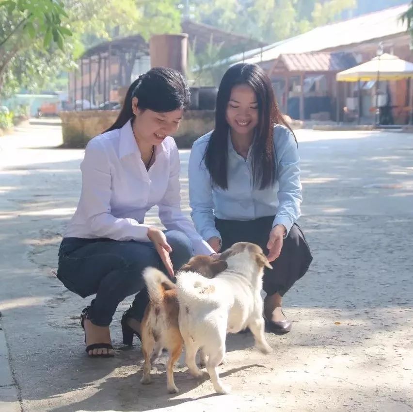 1669285279453496.jpg 1669285279453496.jpg