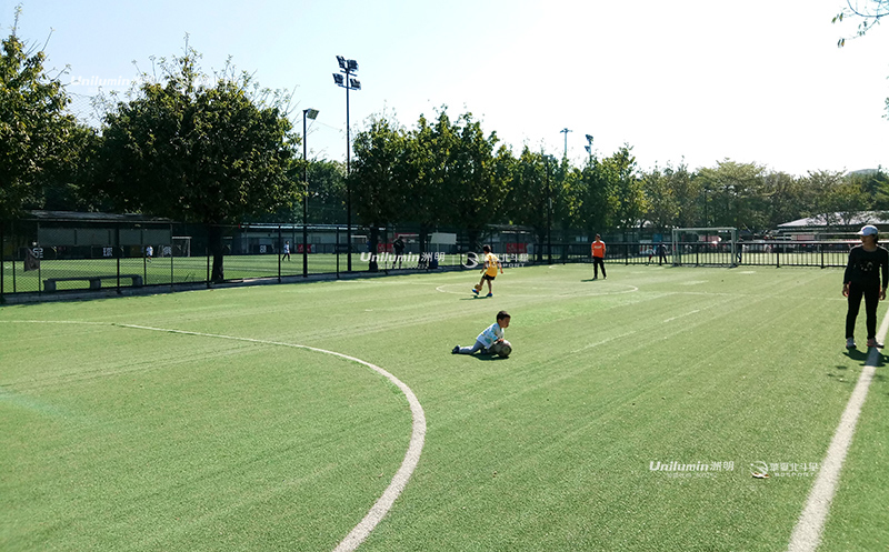 新澳六开彩天天开好彩大全