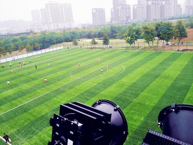 新澳六开彩天天开好彩大全