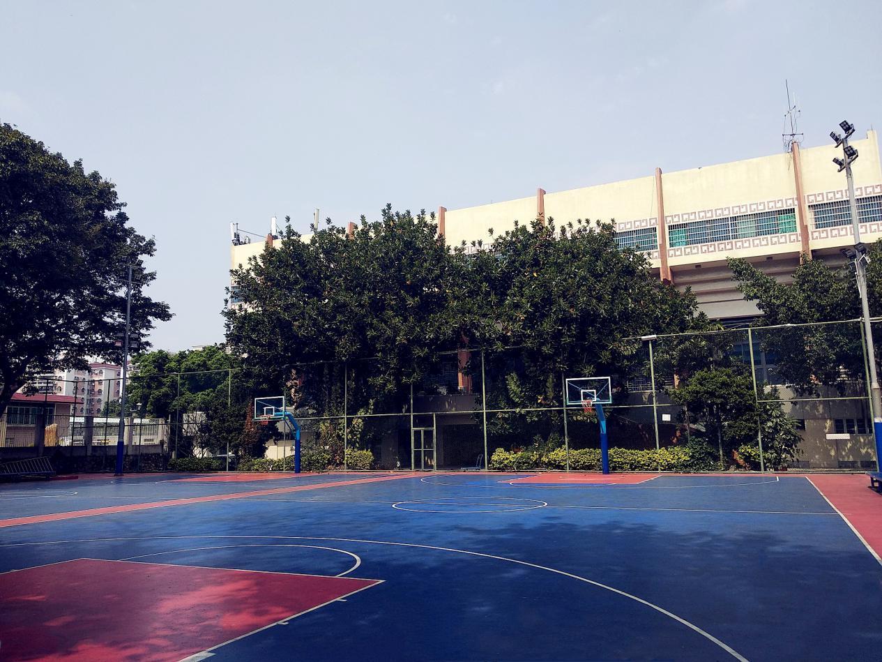 新澳六开彩天天开好彩大全