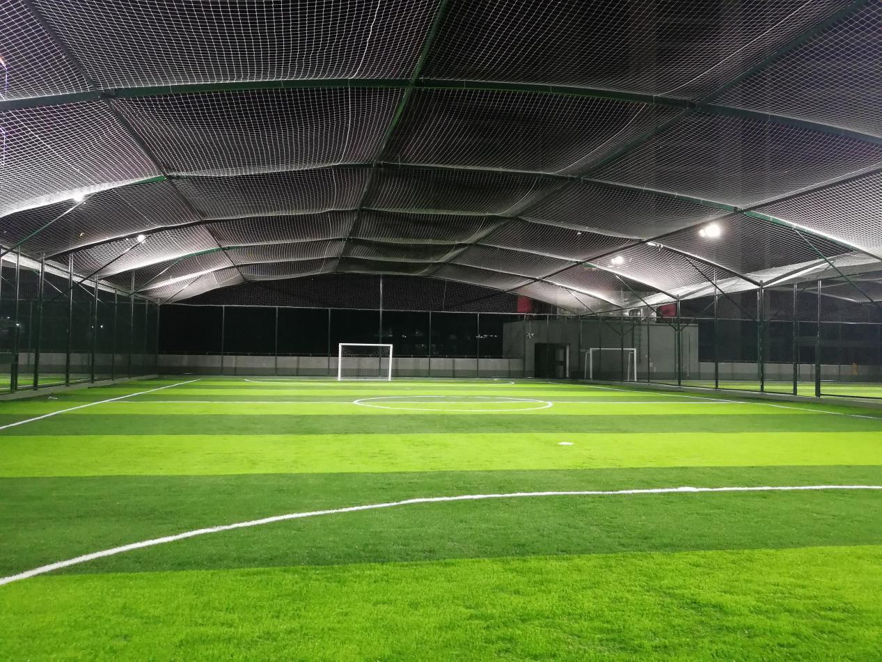 新澳六开彩天天开好彩大全