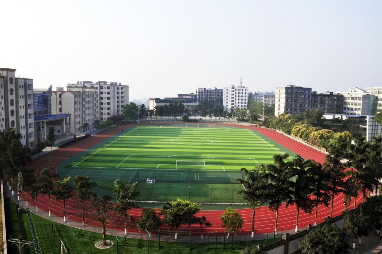 新澳六开彩天天开好彩大全