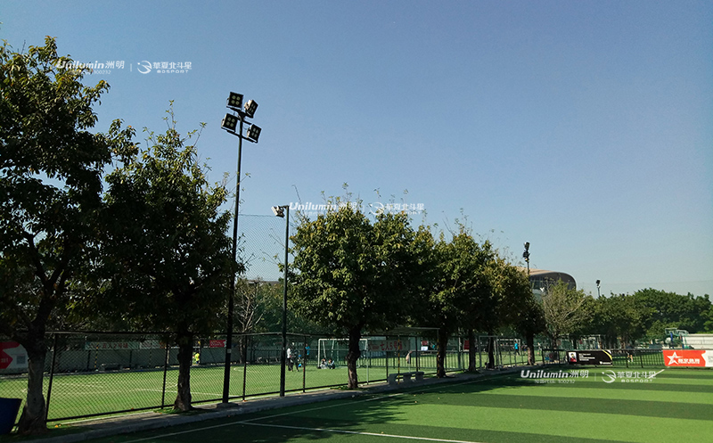 新澳六开彩天天开好彩大全