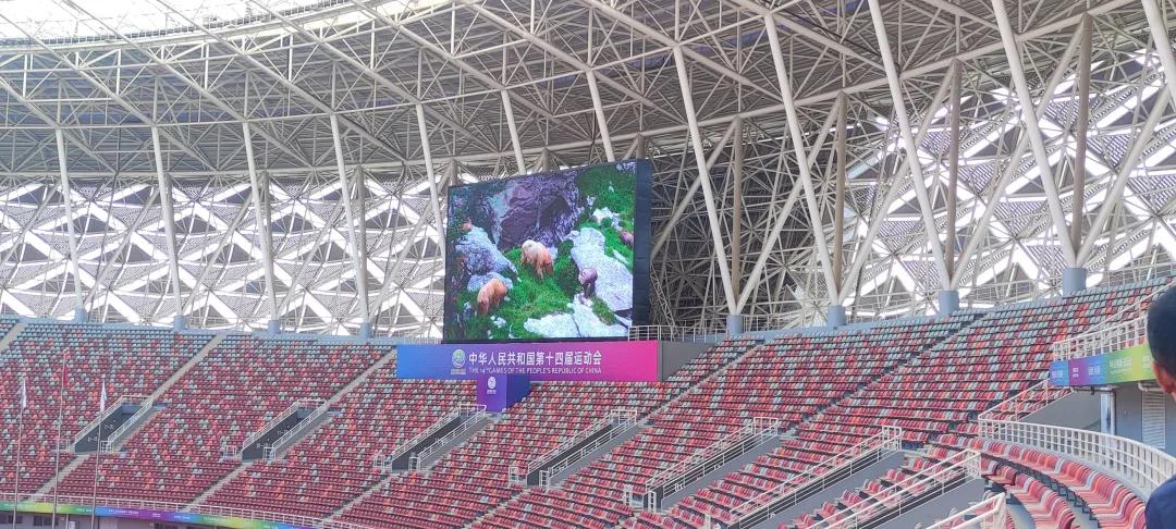 新澳六开彩天天开好彩大全