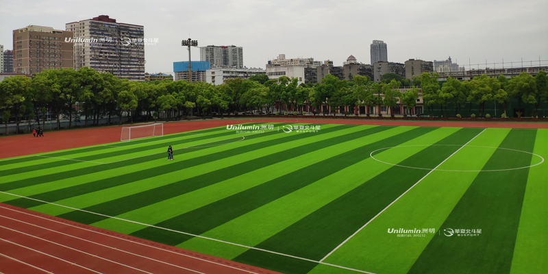 新澳六开彩天天开好彩大全